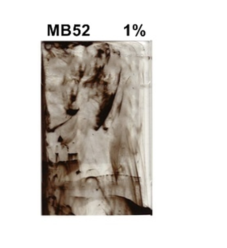 MB52单色流纹色母（ABS/AS/PMMA流纹色母）1%添加量